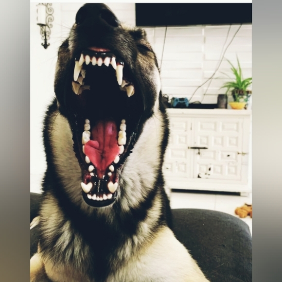 Unlisted items live show sells - Picture 1 of 1